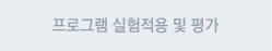 프로그램 실험적용 및 평가